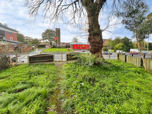 Garden- click for photo gallery